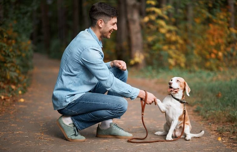 Pet Nutrition